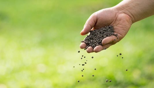 The Environmental Impact of Synthetic Fertilizers in Gardening