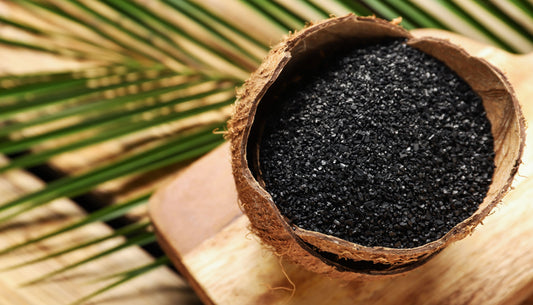 The Power of Nature: Activated Charcoal and Chinese Ginseng in Skincare