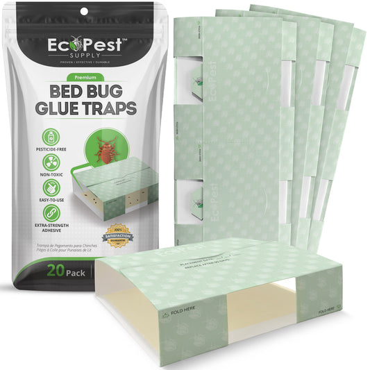 Bed Bug Glue Traps – 20 Pack | Sticky Indoor Pest Control Trap for Bed Bugs by EcoPest Supply