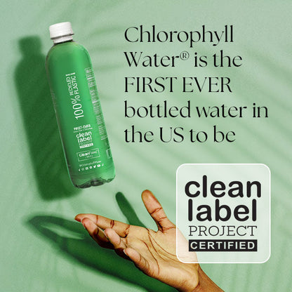 Chlorophyll Water® (Case of 12): Purified Mountain Spring Water with Essential Vitamins by Chlorophyll Water