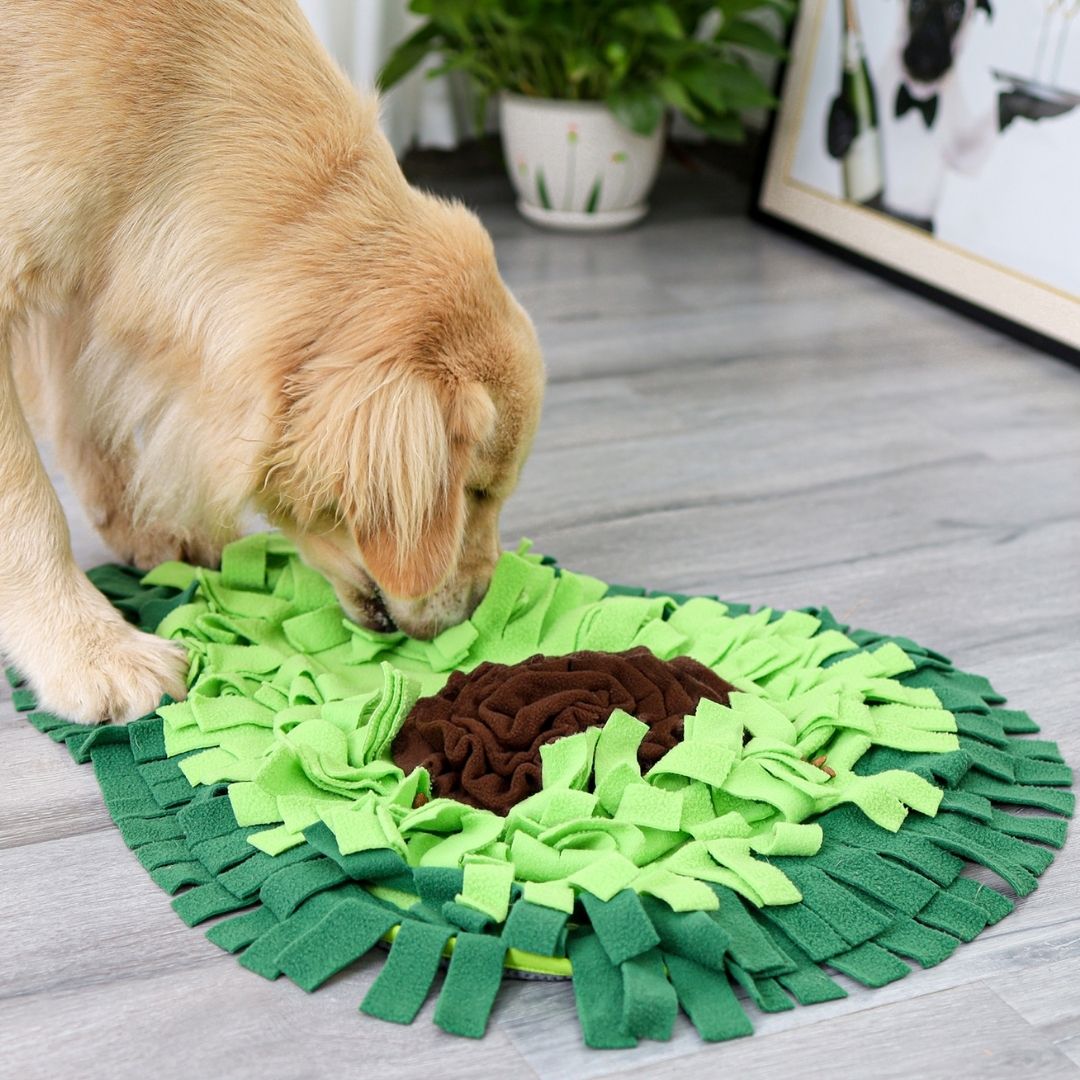 Avocado Hugger Snuffle Mat Interactive Toy for Dogs