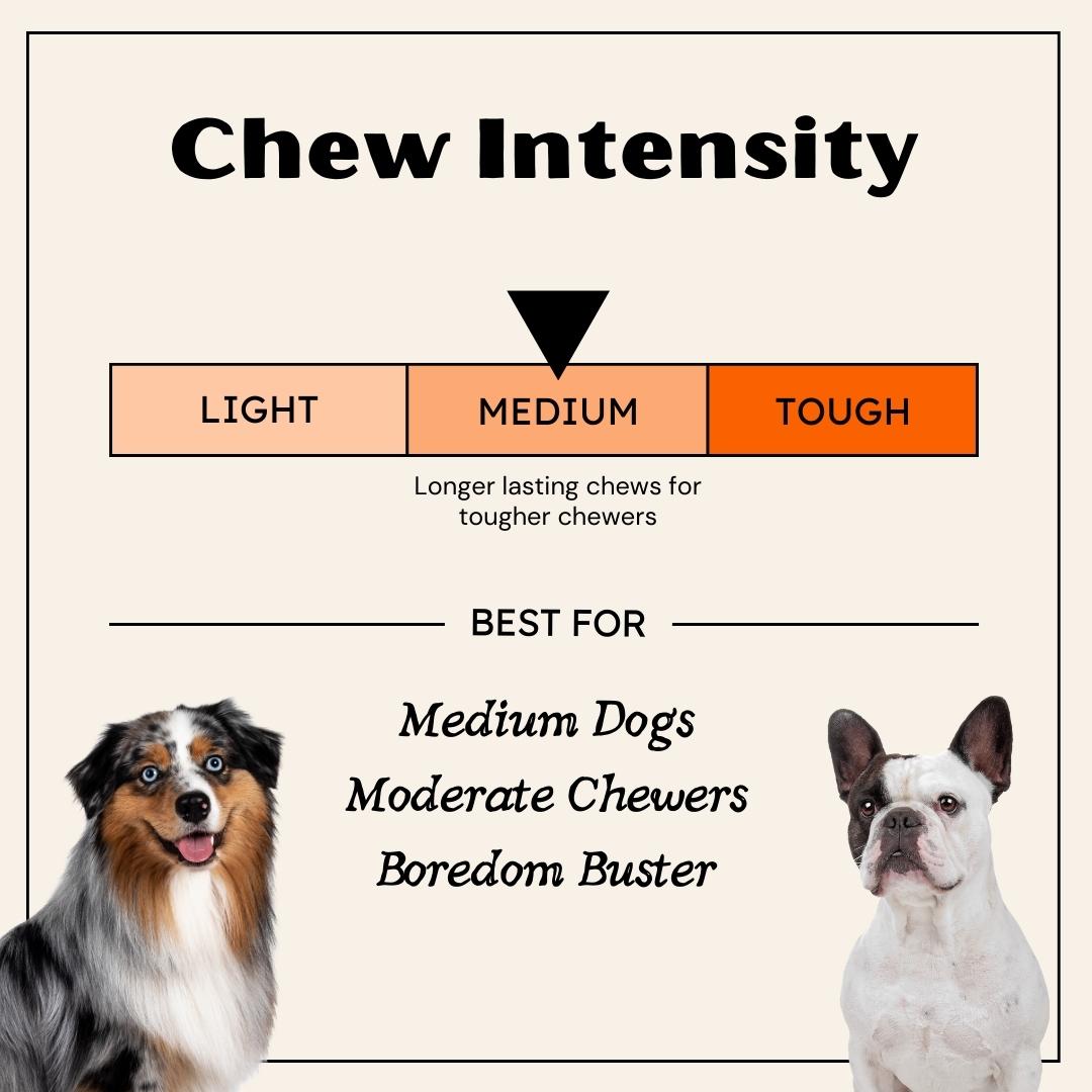 MunchFest Dog Treat Sampler Pack for Medium Chewers