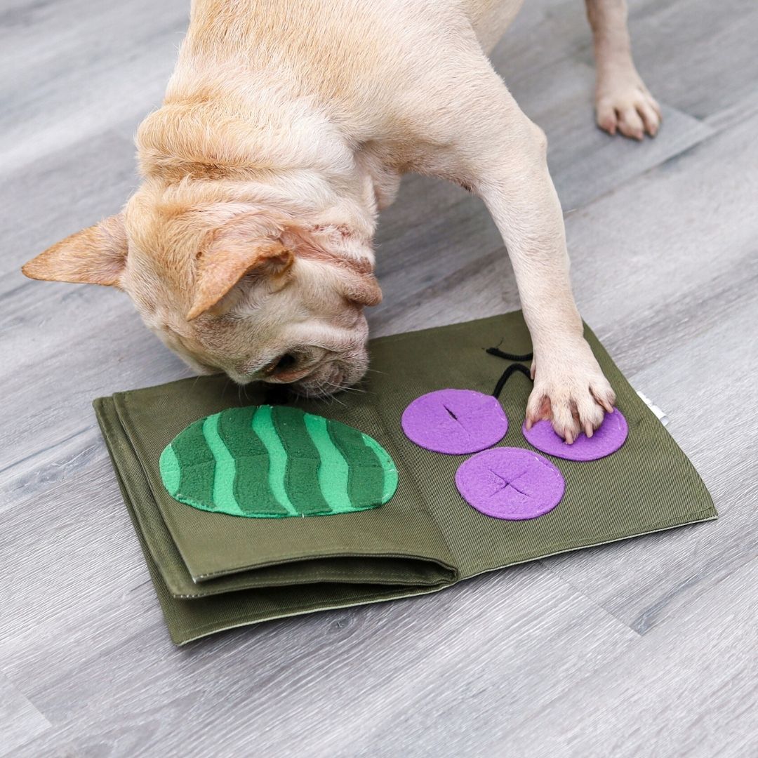 Fruity Tales Snuffle Mat Interactive Toy for Dogs