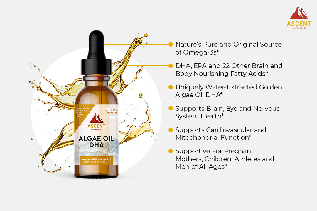 Algae Oil DHA by Ascent Nutrition