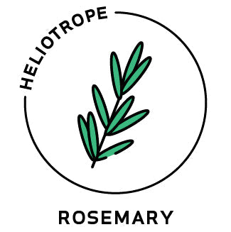 Essential Oil - Rosemary by Heliotrope San Francisco