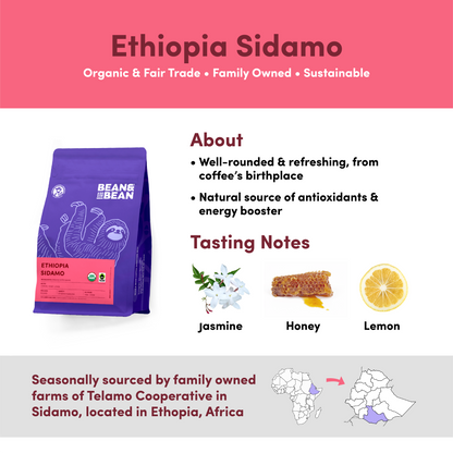 Ethiopia Sidamo by Bean & Bean Coffee Roasters