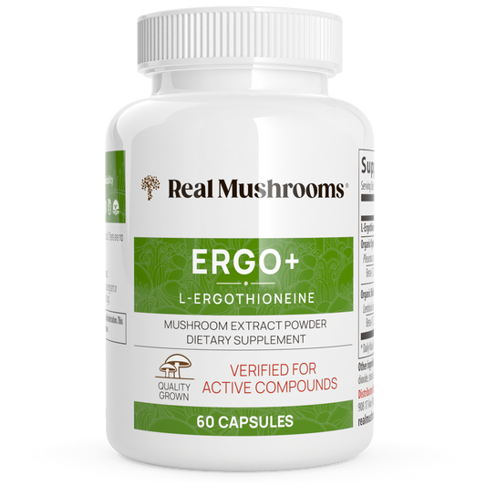 Ergo+ Ergothioneine Supplement by Real Mushrooms
