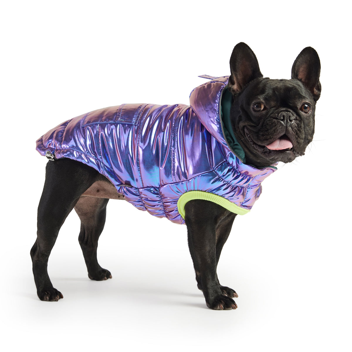 Recycled Parka - Iridescent by GF Pet.us