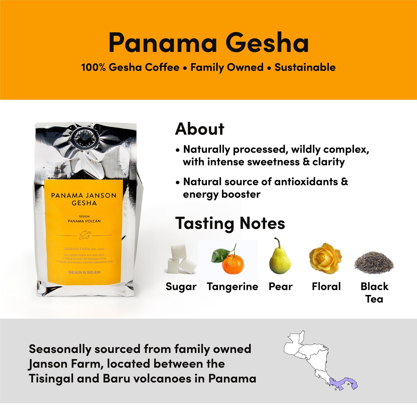 Panama Janson Gesha Natural Coffee by Bean & Bean Coffee Roasters