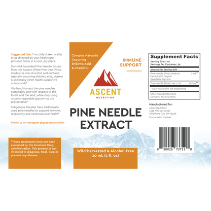 Pine Needle Extract by Ascent Nutrition