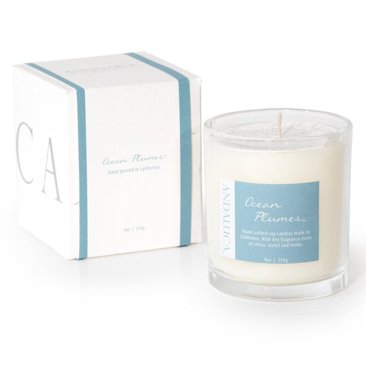 Ocean Plumes 9oz Candle by Andaluca Home