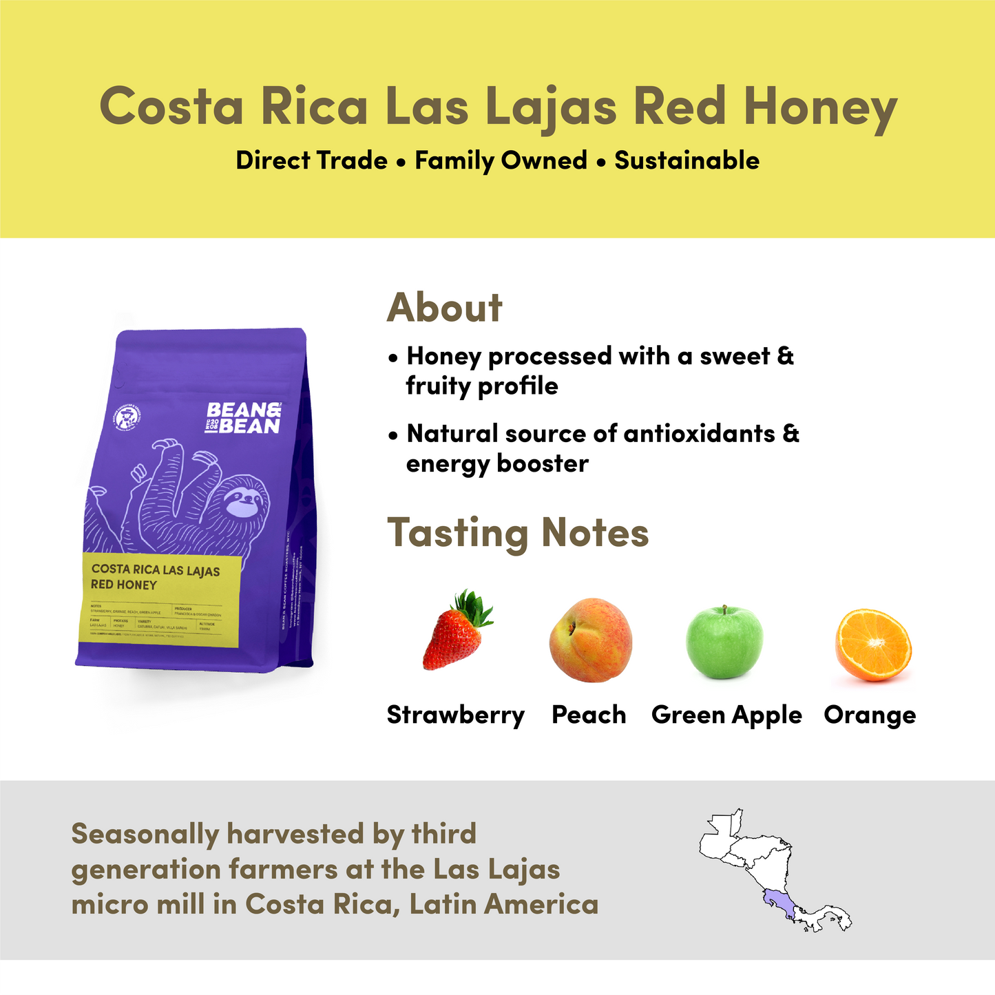 Costa Rica Las Lajas Red Honey Coffee by Bean & Bean Coffee Roasters