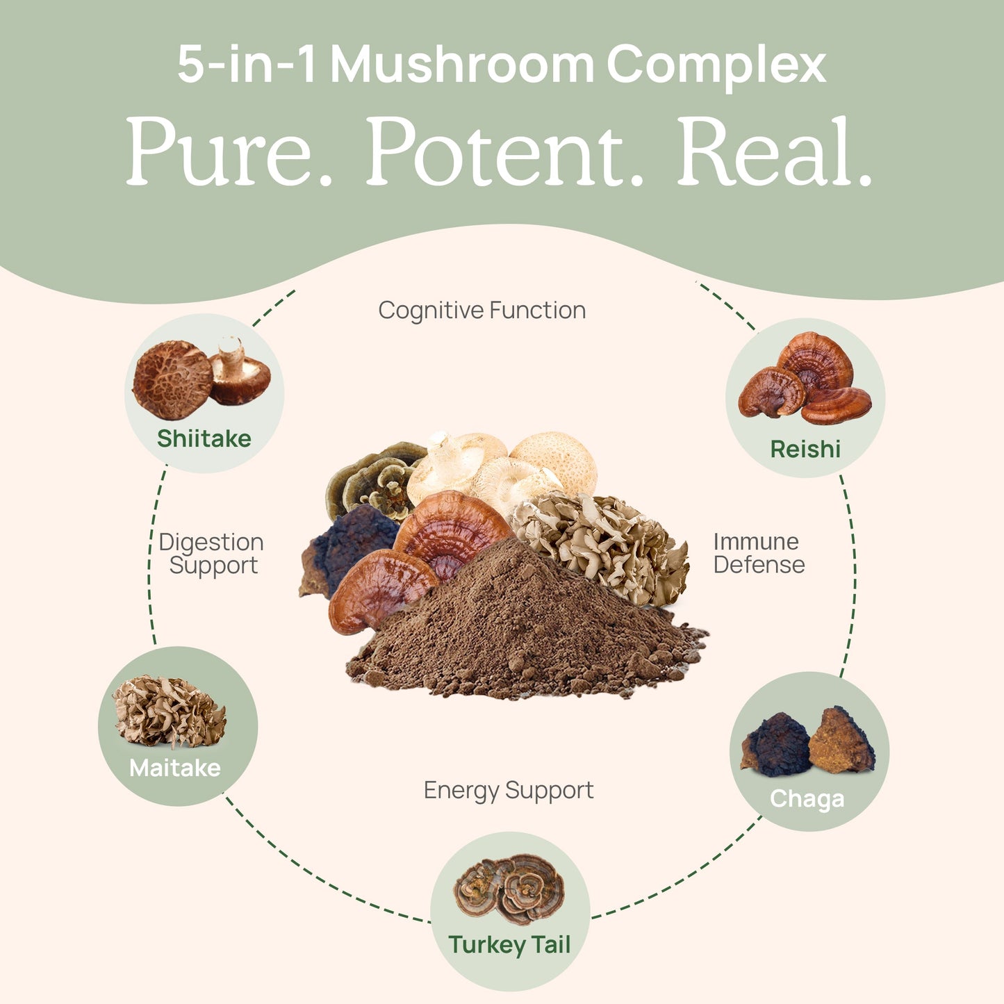 5 Defenders Organic Mushroom Complex – Bulk Powder by Real Mushrooms