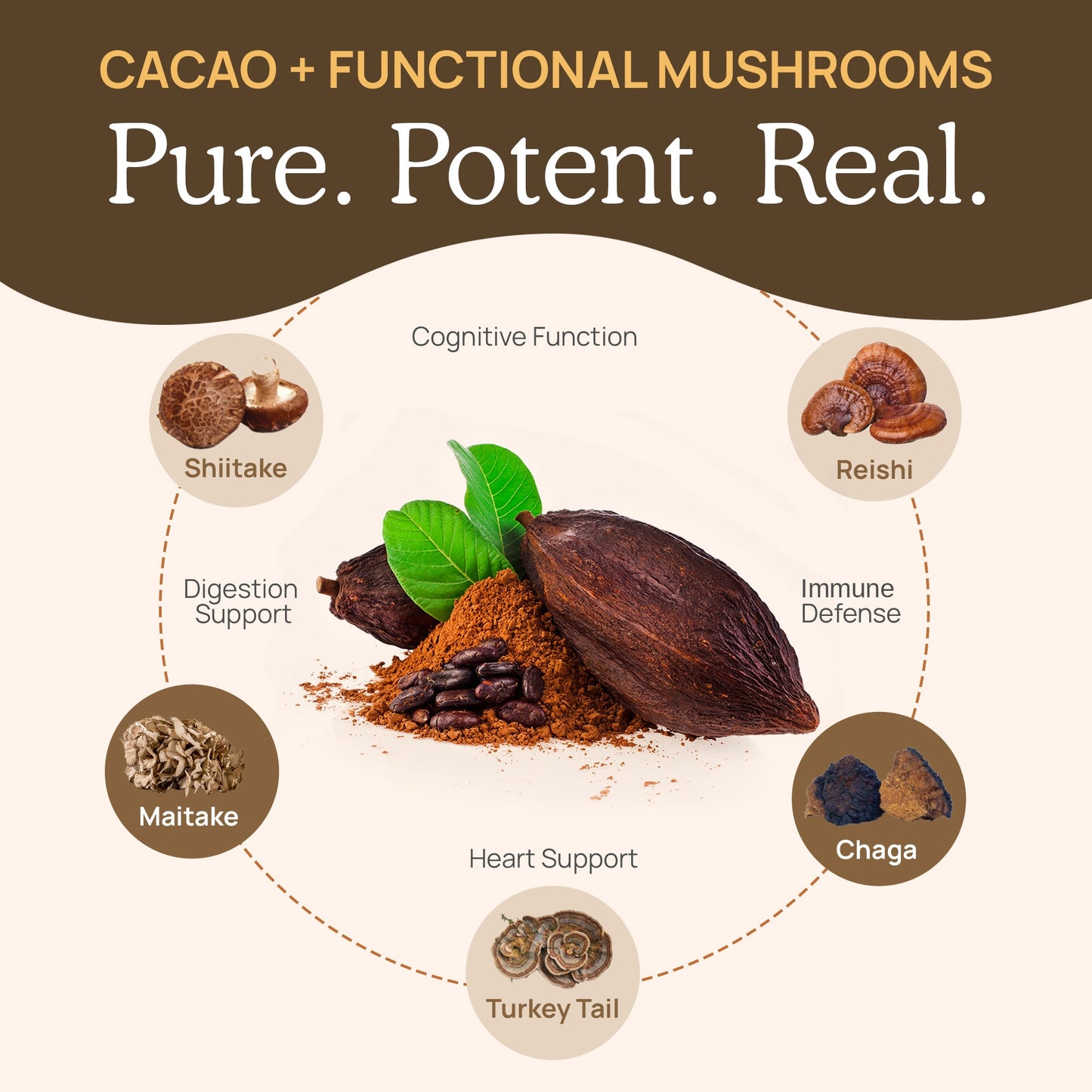 Mushroom Hot Chocolate Mix by Real Mushrooms