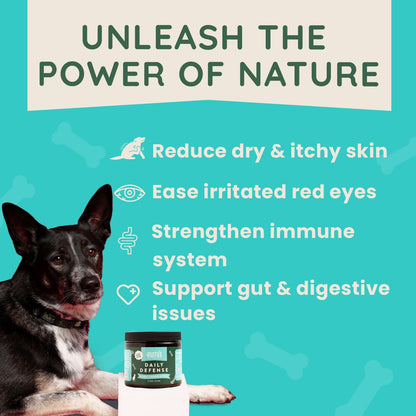 Daily Defense - Allergy & Immune Support by Rusty's Pet Essentials