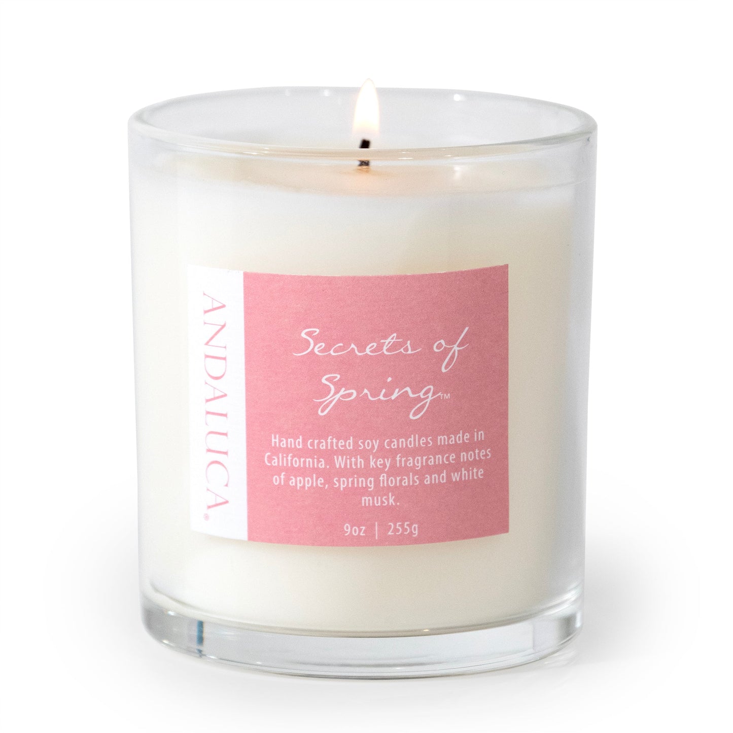 Secrets of Spring 9oz Candle by Andaluca Home