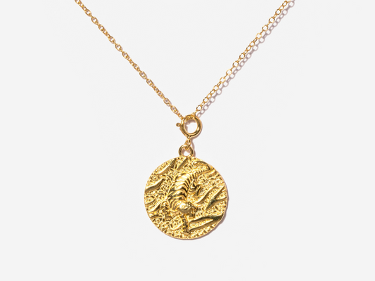 Tiger Coin Necklace by Little Sky Stone