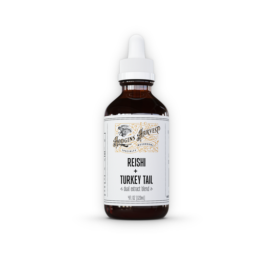Reishi + Turkey Tail Dual Extract Tincture by Hodgins Harvest