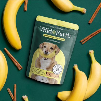 3 Pack - Superfood Dog Treats with Koji (5 oz per bag) by Wild Earth