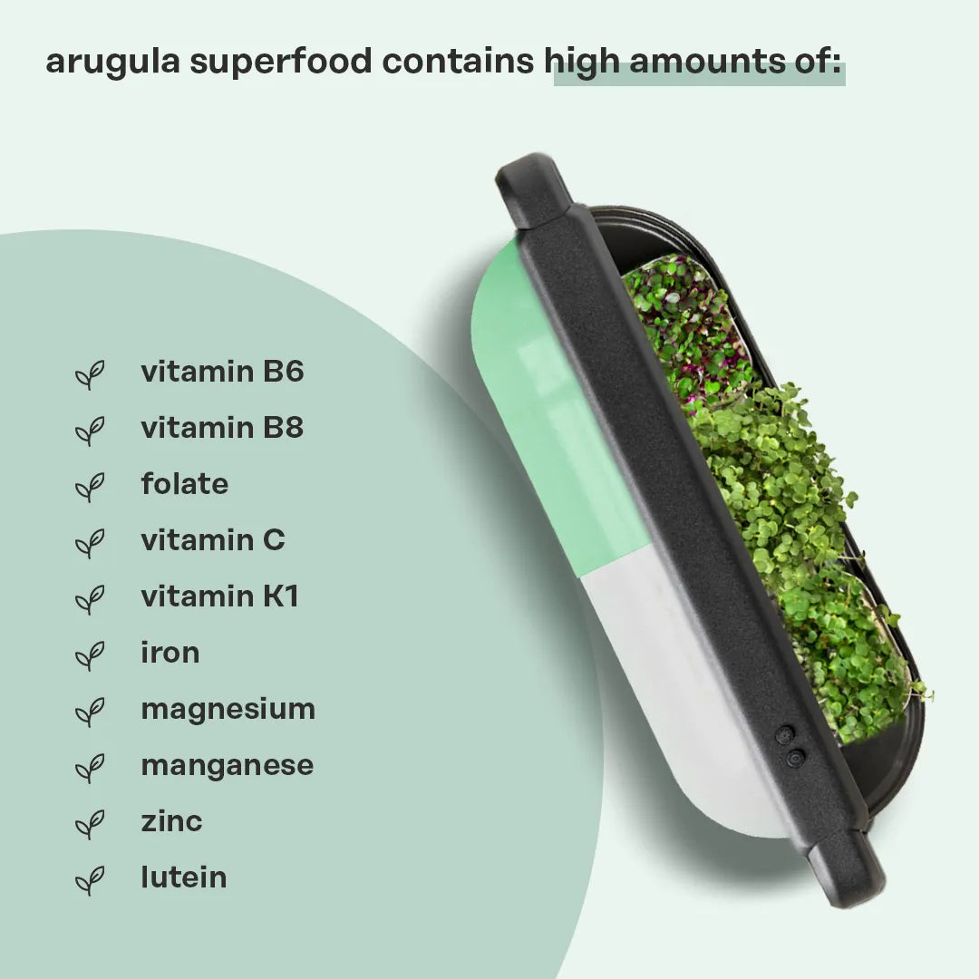Arugula Superfood (Iron Booster)