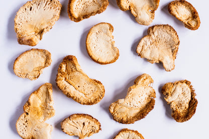 Lion's Mane Mushroom by Ascent Nutrition