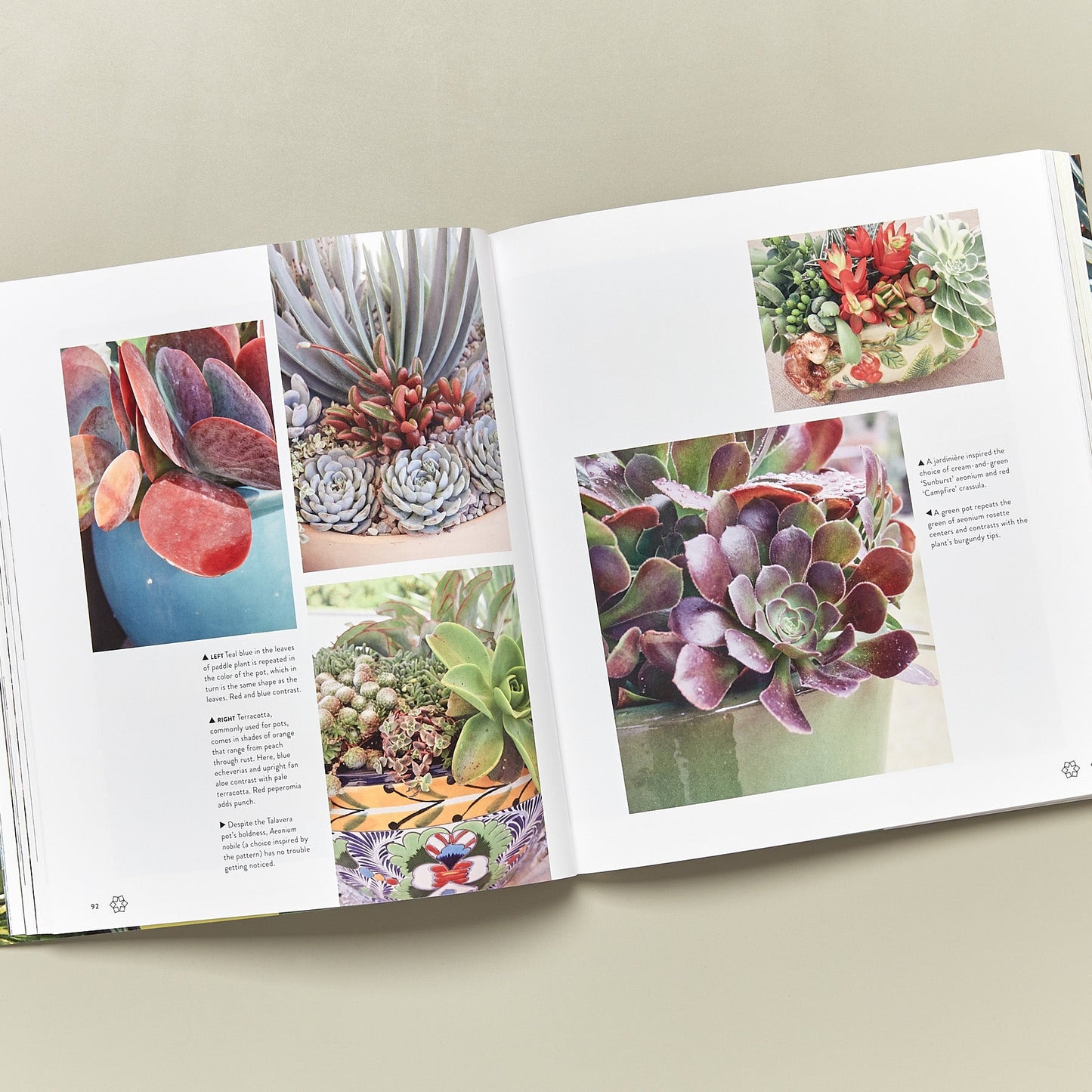 Book - Succulents Simplified