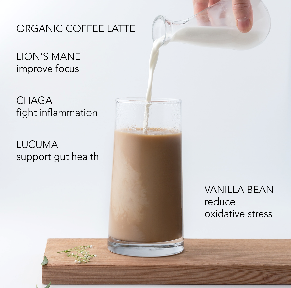 TUSOL Organic Latte Kit (28 Lattes) by TUSOL Wellness