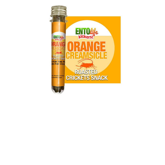 Orange Creamsicle Roasted Cricket Snack Tubes - 6 x 10g by Farm2Me