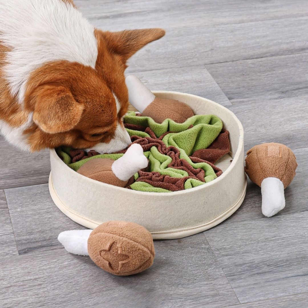 Chicken for Dinner Snuffle Mat Interactive Toy for Dogs