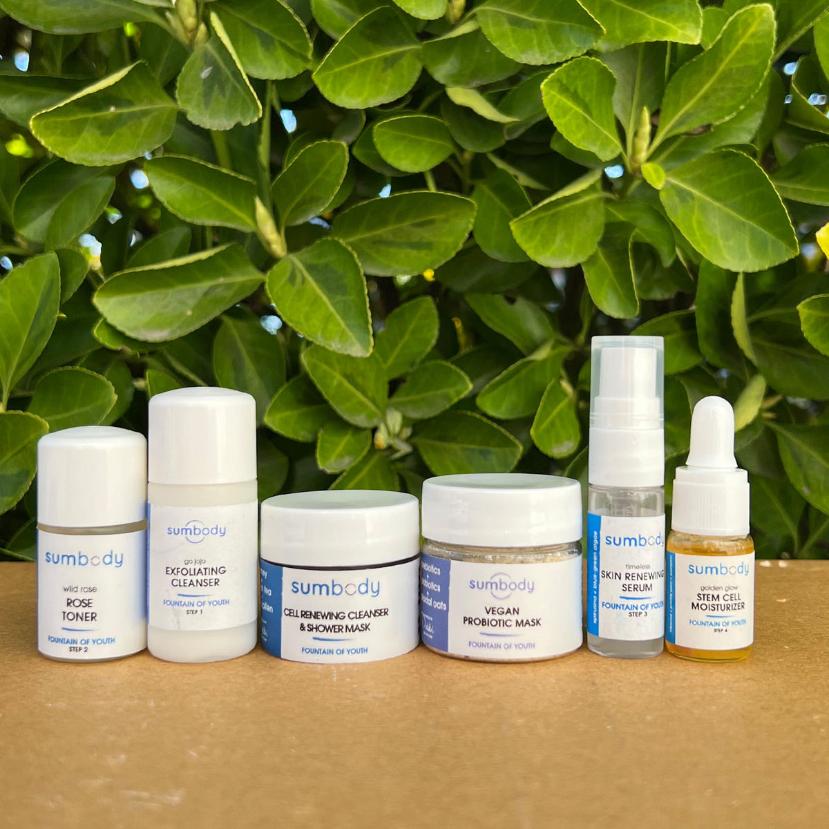 5 Steps to Perfect Skin Fountain of Youth Mini Kit by Sumbody Skincare