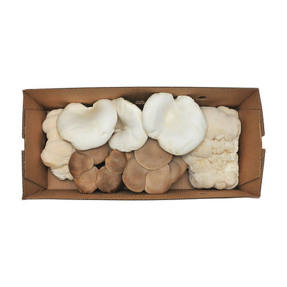 Certified Organic Exotic Mushroom Box, 2.5 lb Mix, ShroomBox by Farm2Me