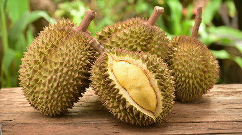 Durian Species Explained: A Comprehensive Guide to Different Types of Durian