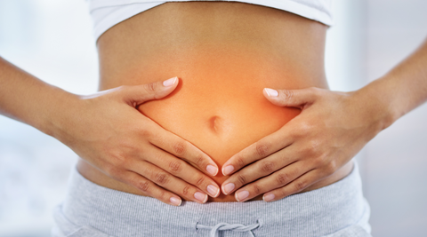 Blog Image for Triphala: Improving Digestion And Gut Health