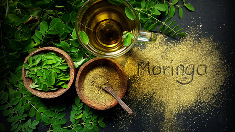 Fresh Moringa Leaves Tea: A Nutritious and Refreshing Beverage