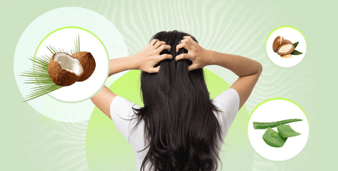 Seaweed Extract Powder For Hair