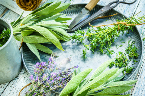 The Healing Power of Sage and Lavender