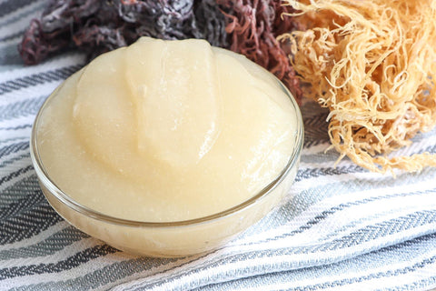 Wild Crafted Sea Moss Gel: The Ultimate Guide to its Benefits and Uses