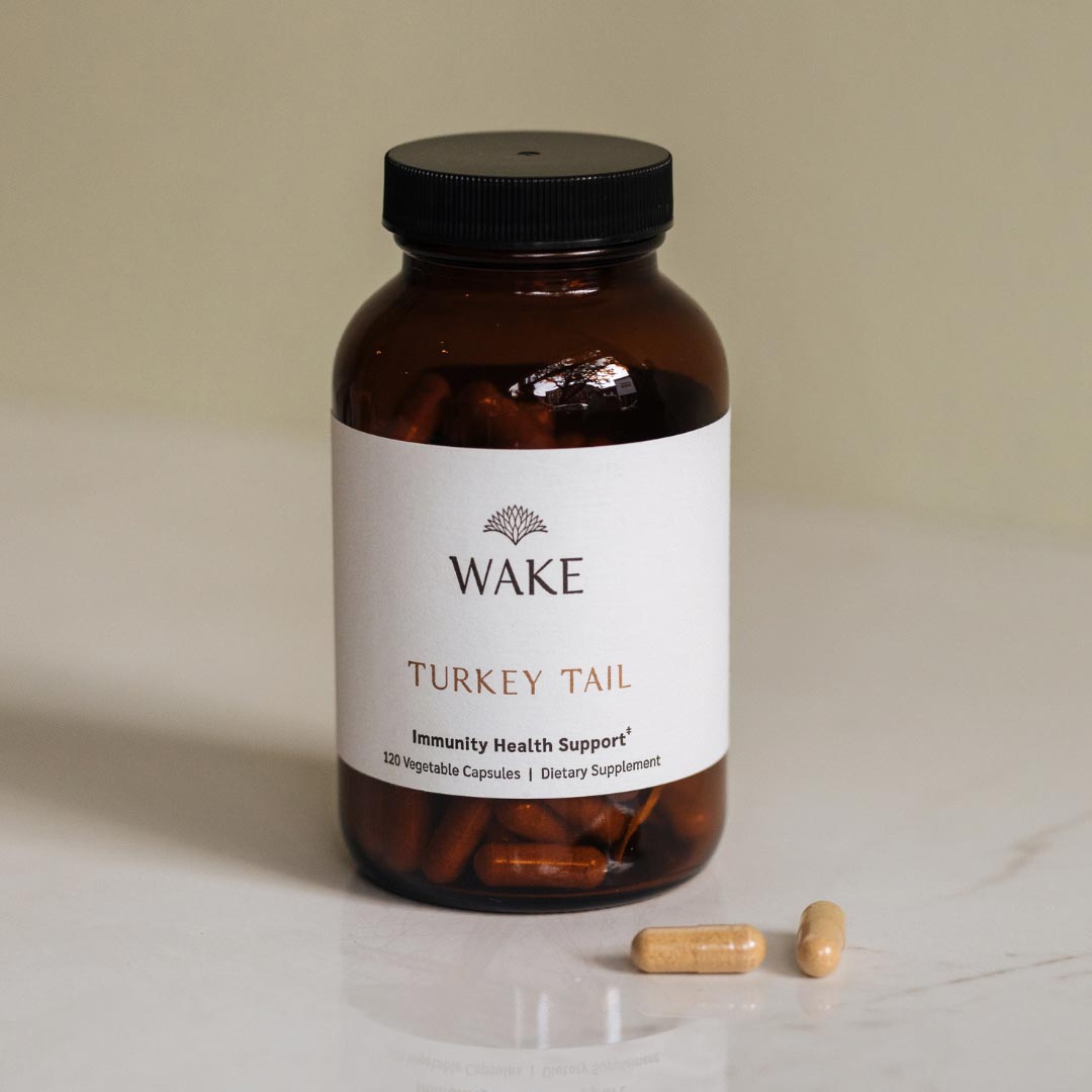 TURKEY TAIL by WakeWellShop