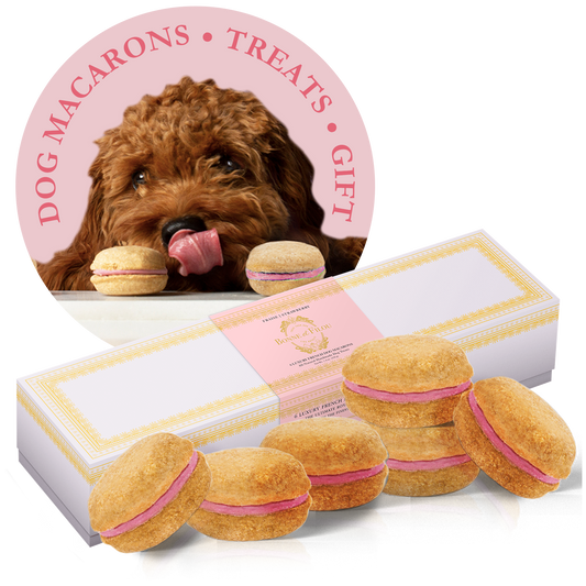 Dog Macarons (Box of 6) by Bonne et Filou