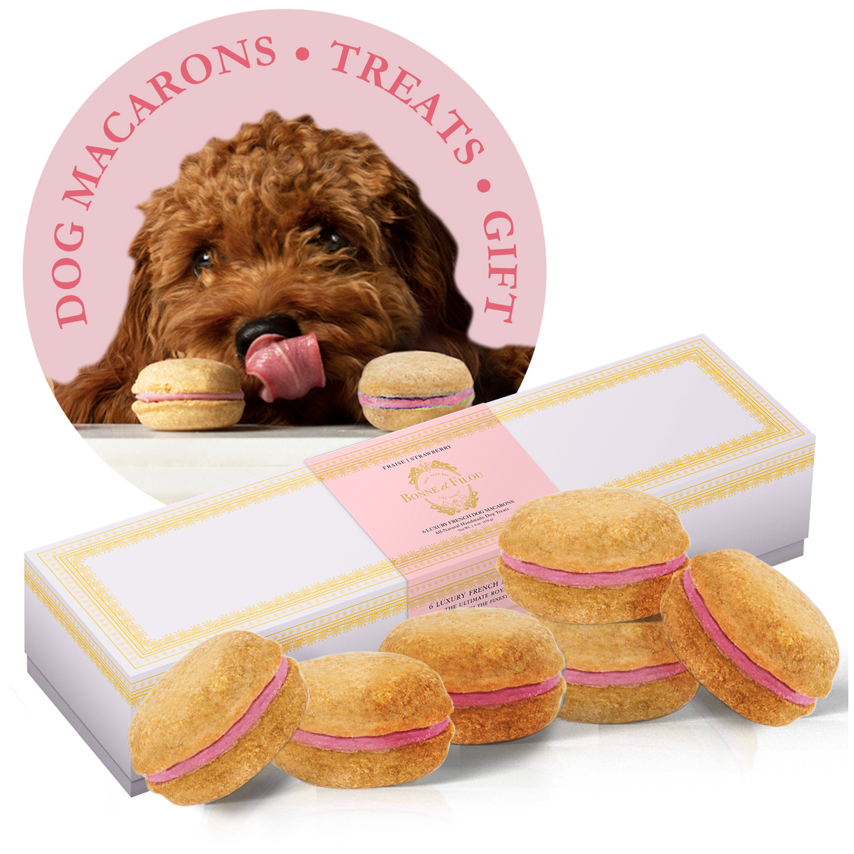 Dog Macarons (Box of 6) by Bonne et Filou