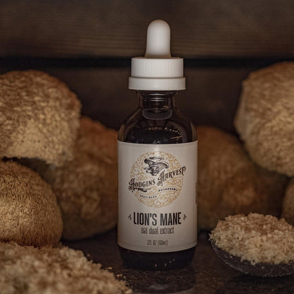Lion's Mane Dual Extract Tincture by Hodgins Harvest