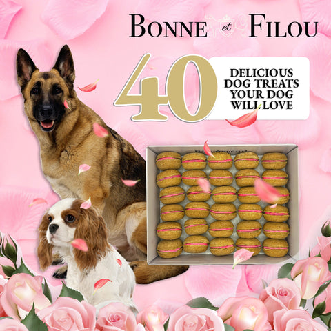40 Count Dog Macaron Treats Gift Box by Bonne et Filou