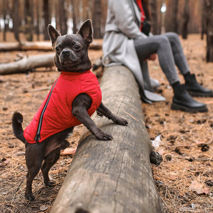 Sustainable Eco-Friendly Dog Jacket / Vest - Made in Ukraine by Bonne et Filou
