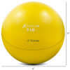 Toning Ball by Jupiter Gear