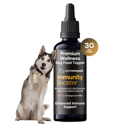Immunity Booster - For dogs over 45lbs by alchemypet