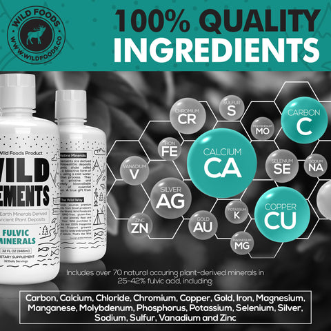 Fulvic Acid Mineral Blend - Case of Six by Wild Foods