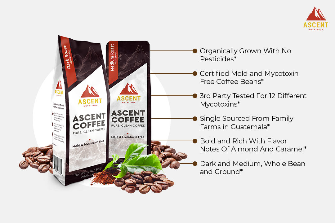 Ascent Coffee by Ascent Nutrition