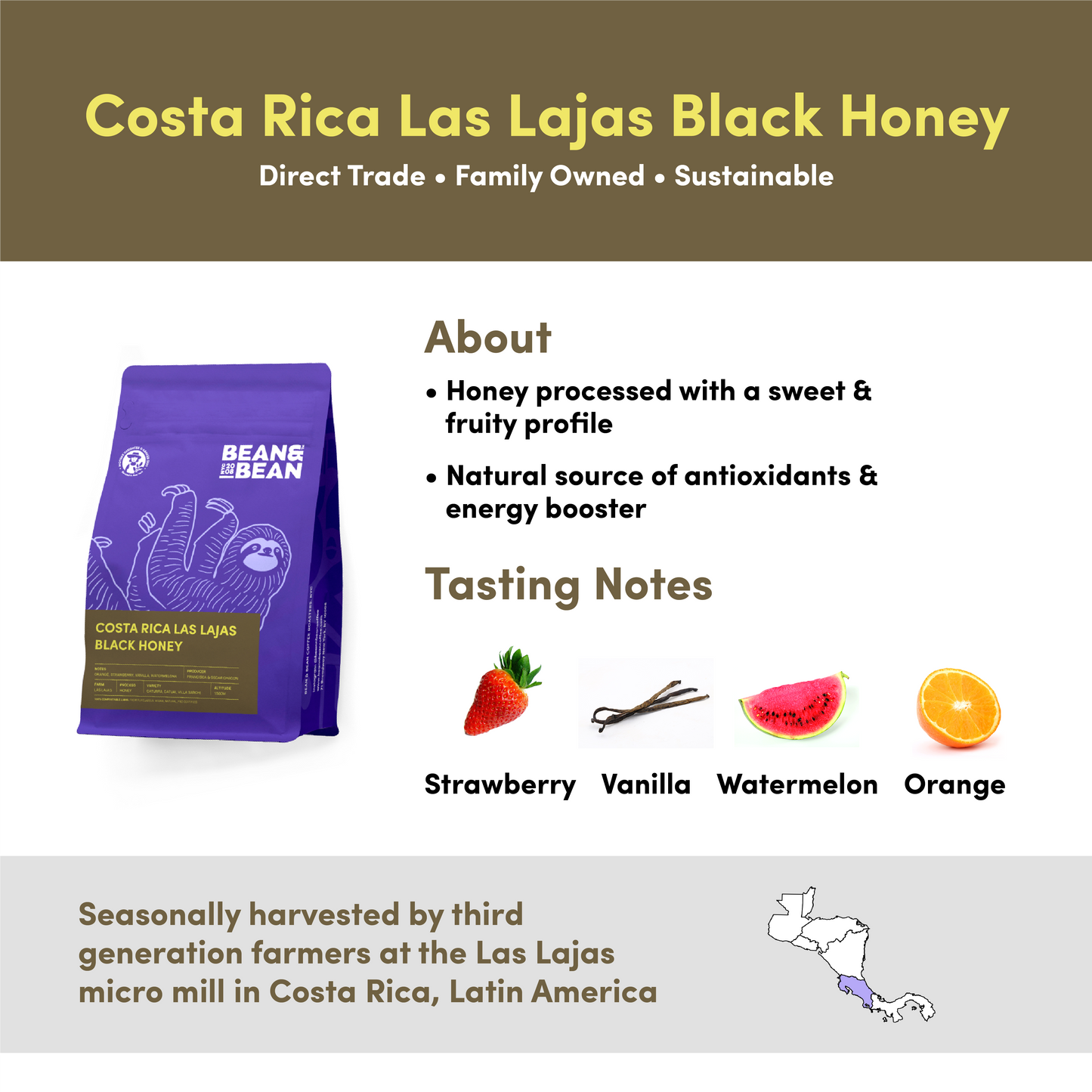 Costa Rica Honey Duo by Bean & Bean Coffee Roasters