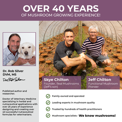 Organic Chaga Extract Capsules for Pets by Real Mushrooms
