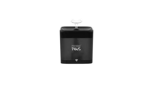 Smart Water Fountain by Shop Automatic Pet Feeder | Penthouse